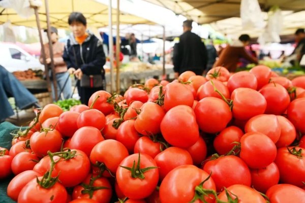 深圳股票配资门户 鸡蛋配不上西红柿引热议，最近蔬菜要吃不起了？