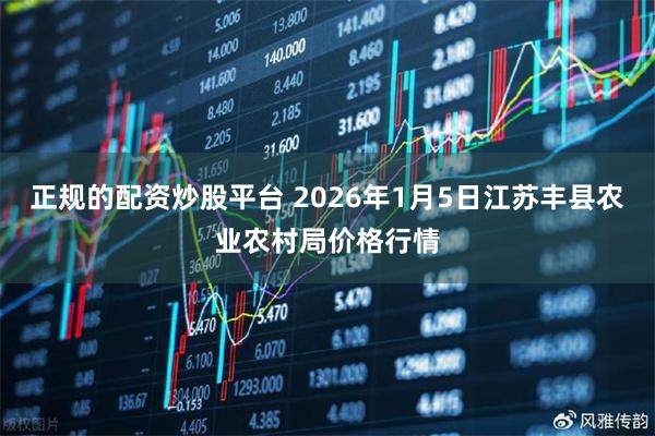 正规的配资炒股平台 2026年1月5日江苏丰县农业农村局价格行情